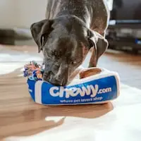Max's mom's pet